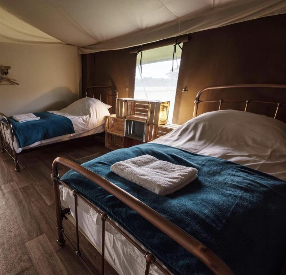 מלון אקסטר Midleydown Luxury Glamping מראה חיצוני תמונה